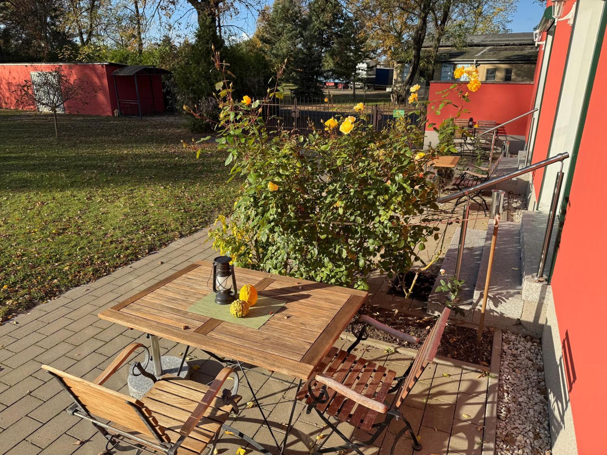 Bed & Breakfast Am Waldguertel 福斯特 外观 照片